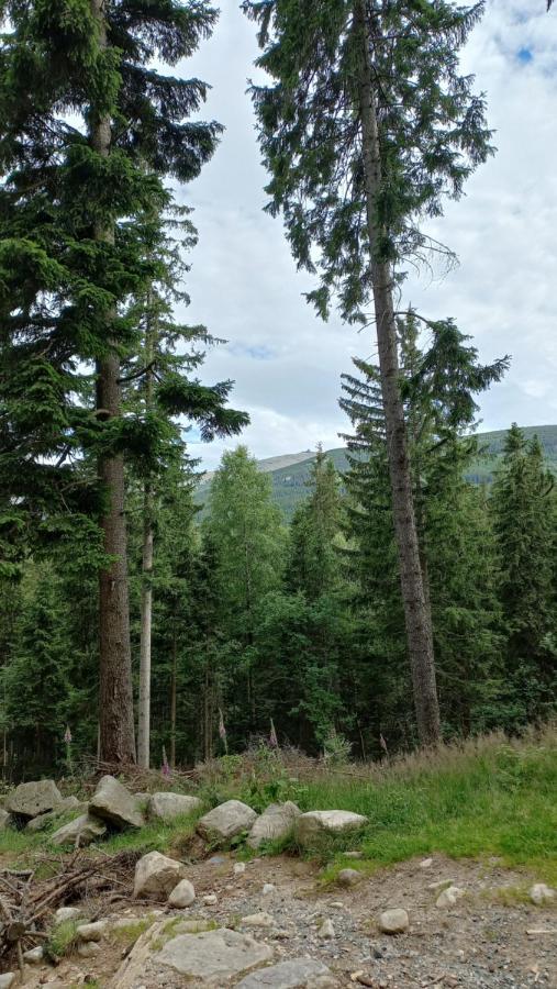 Waniliowe Zacisze Διαμέρισμα Jelenia Góra Εξωτερικό φωτογραφία