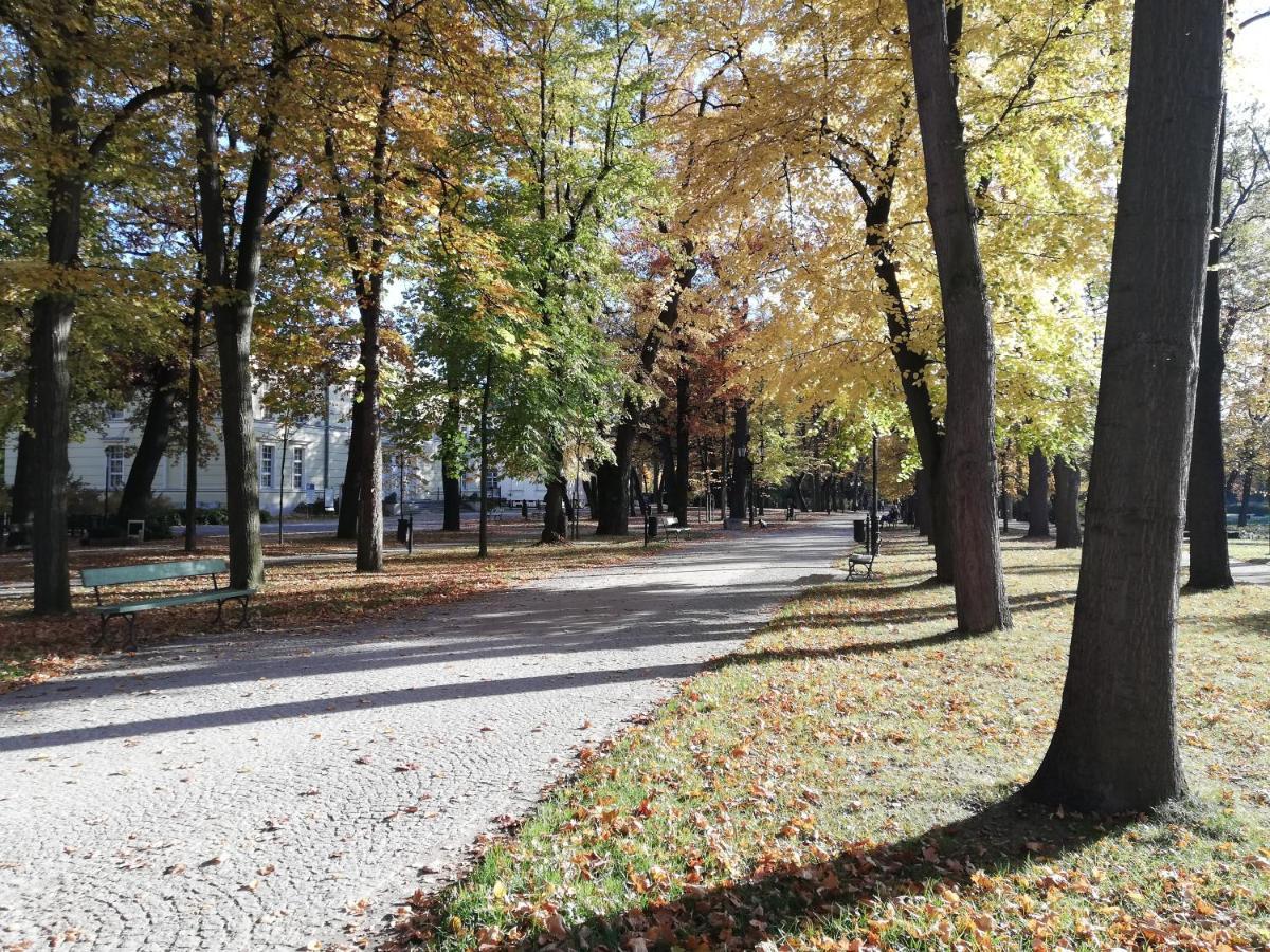 Waniliowe Zacisze Διαμέρισμα Jelenia Góra Εξωτερικό φωτογραφία
